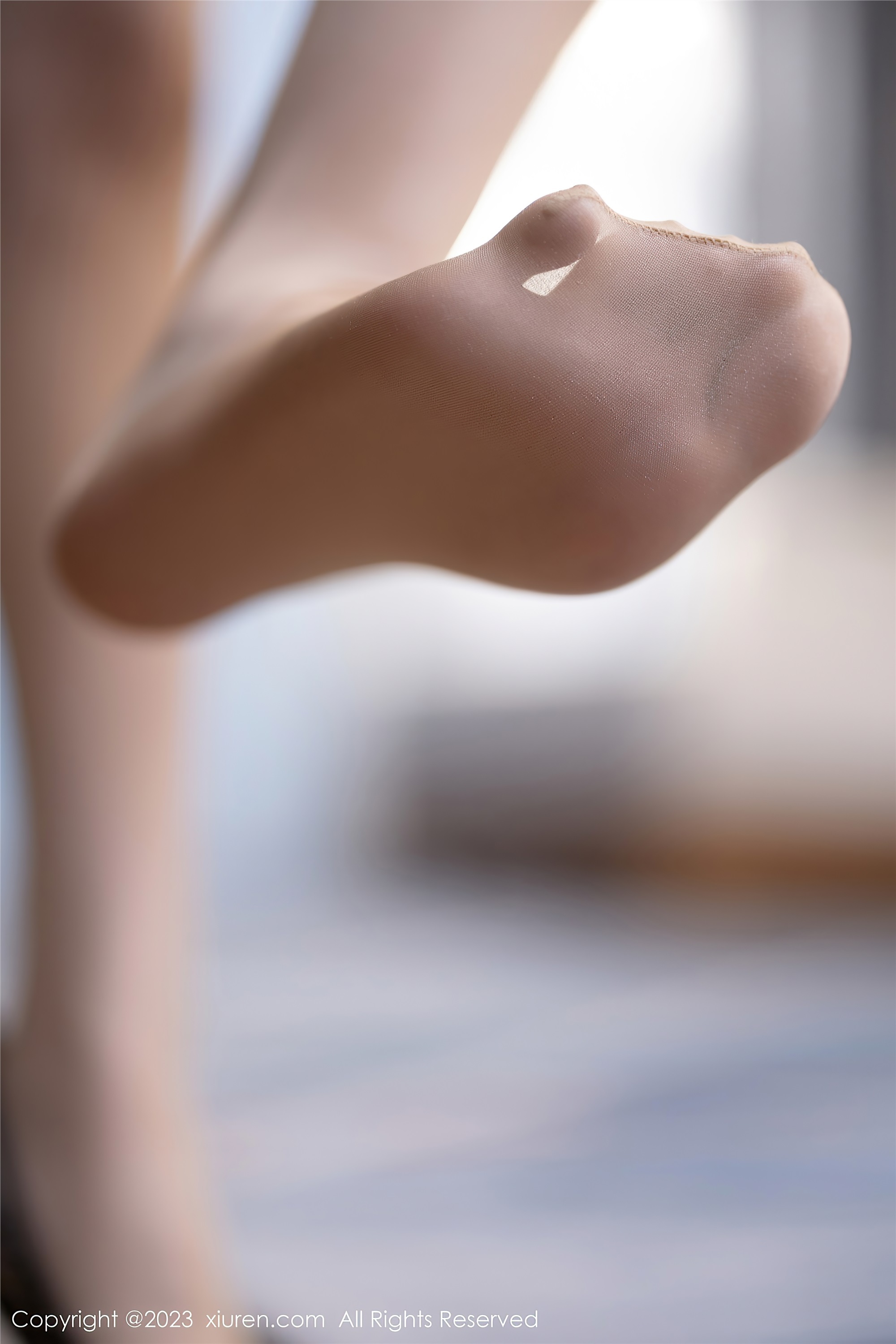 XiuRen秀人网  2023.04.19 NO.6600 林星阑